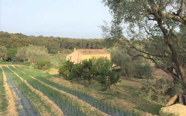 Entre Plage et Campagne