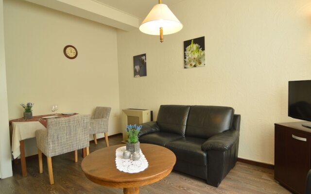 Homely Apartment in Schin op Geul With Terrace