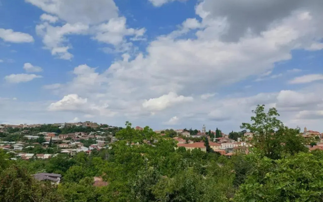 Guesthouse ''Door'' in Sighnaghi