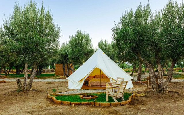 Guadalupe Valle Glamping