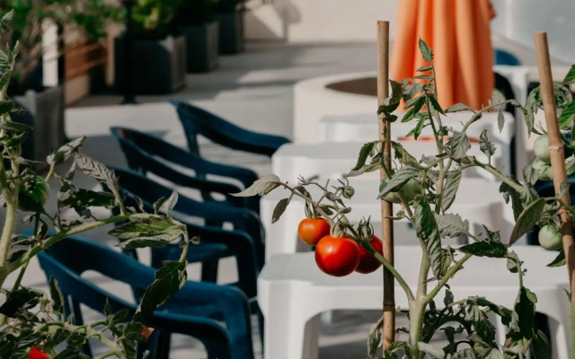 Best Western Hotel des Thermes