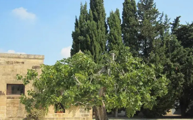 Masseria Storia B & B