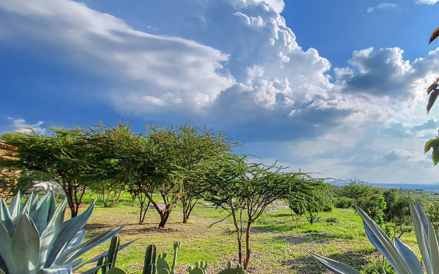 ZenZontle GlampingSMA By Rotamundos