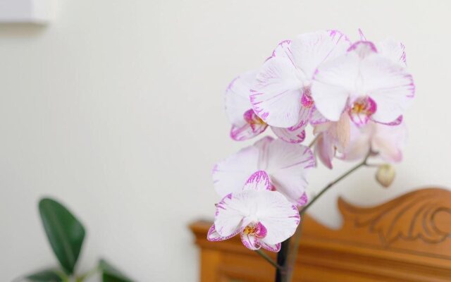 Yew Tree Bed and Breakfast