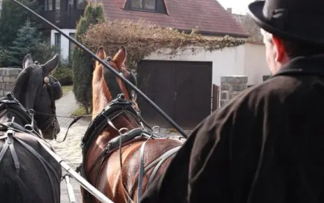 Conifer Cottage IdyllicPrague