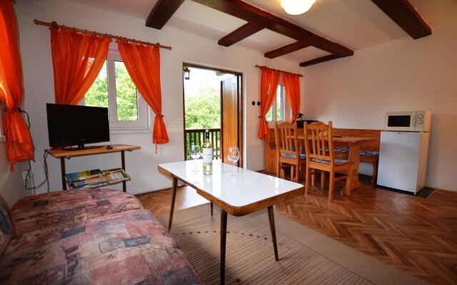 Poolincluded Chalet Jizera