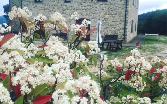 Agriturismo SantAngelo