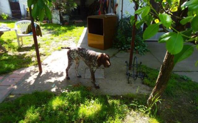 Rooms Top Gun Zrenjanin