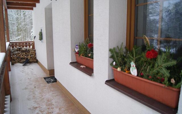 Chalet Horní Orlice