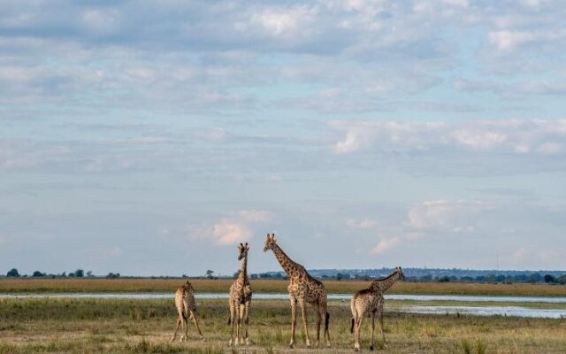 Okavango Lodge