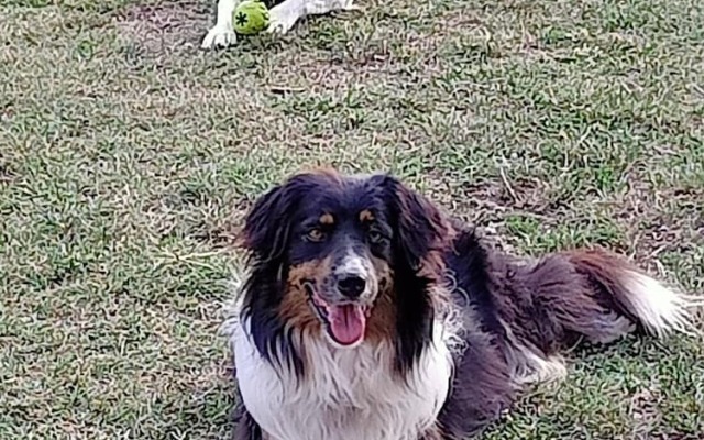 B&B Cascina Sant'Elena