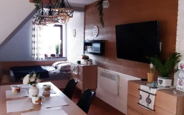Apartament Róża 2 Sauna & Jacuzzi Jaszczurówka 21a