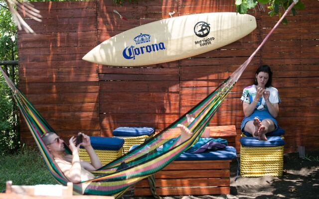 The Driftwood Surfer