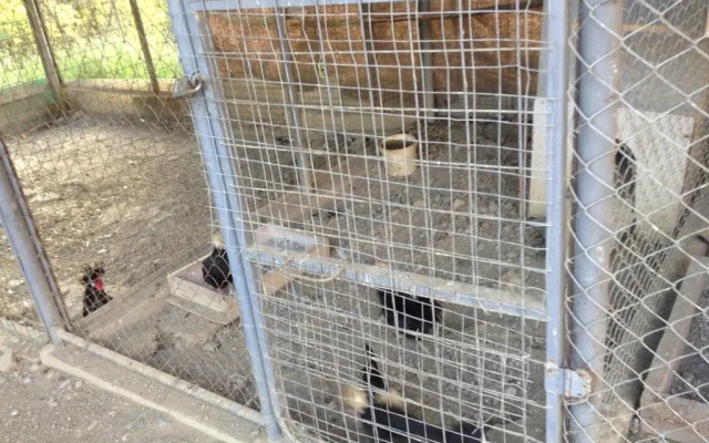 Rajskij Ugolok Guest House