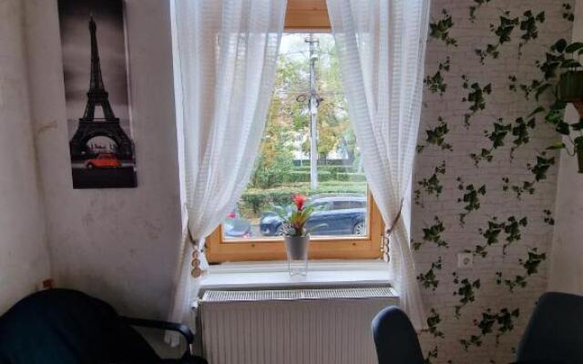 Apartament Ultracentral 2 Piata Muzeului Cluj-Napoca