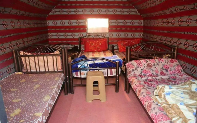 Bedouin habits tours camp