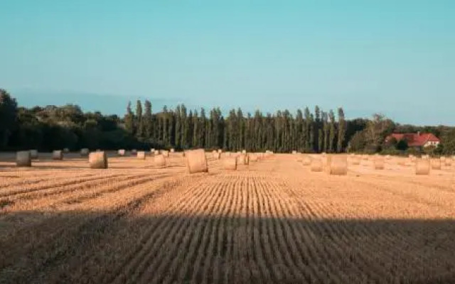 Pension Elmenhorst ***S