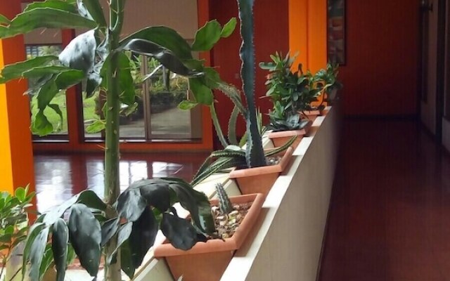 Hotel Arbol Dorado