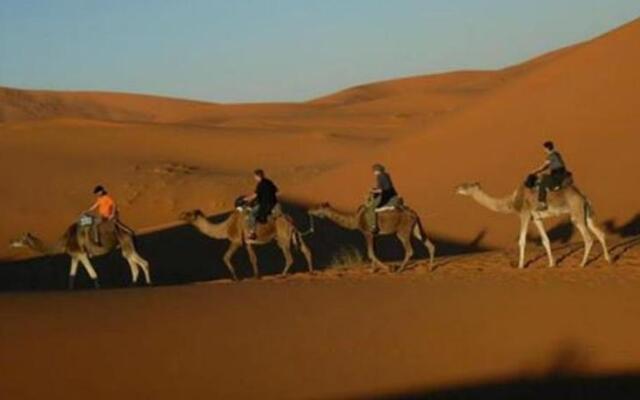 Bivouac Camel Trips