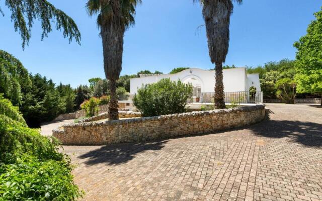 Villa Virgilia by BarbarHouse