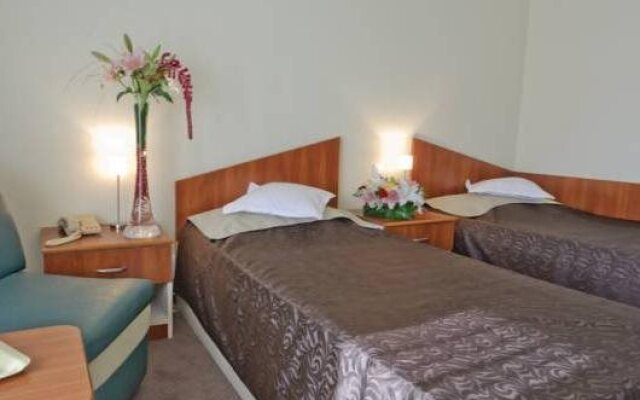 Hotel Bradul