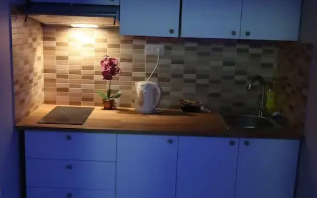 Unique Apartment In Historic Mansion