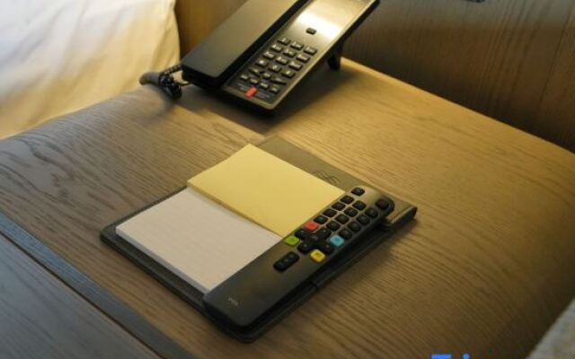 Stargale's Collection