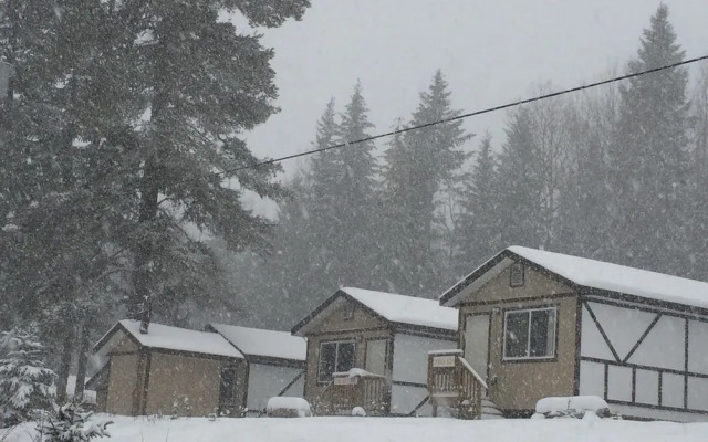 Mountain View Cabins