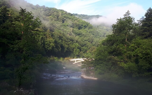 Odae Mountain Golden Light Pension