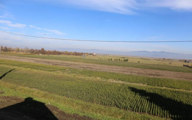 Ezüstfenyő Panzió