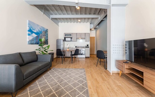 Roma Norte Apartments by VH