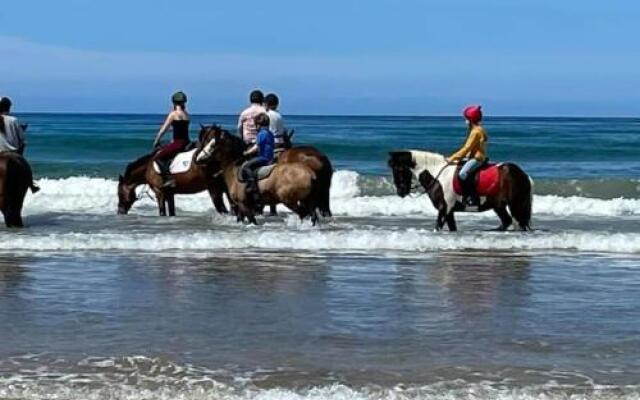 Beezies Self Catering Cottages