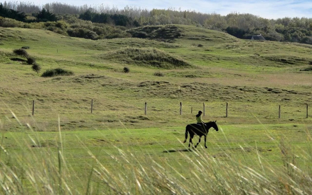 Holiday Home Oscar - HSM402