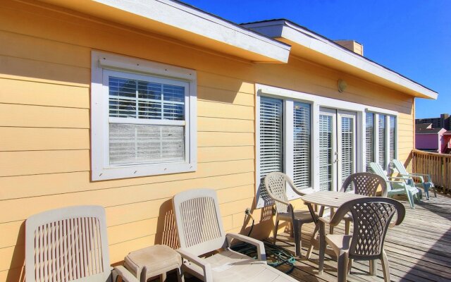 Happy Starfish LCV36