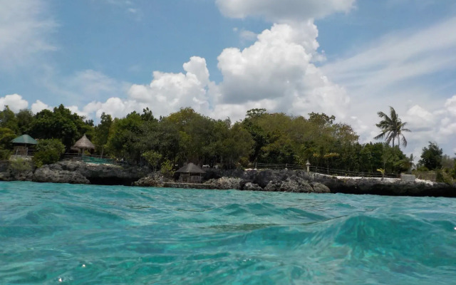 Sea Turtle House