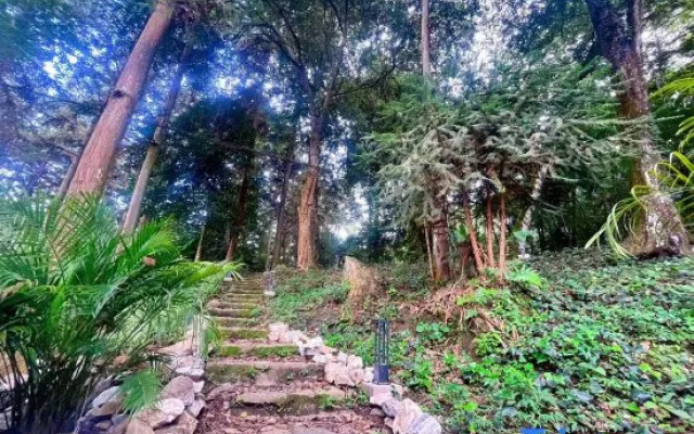 Terraces&Forest Wooden Hotel — 4-star hotel in Yuanyang