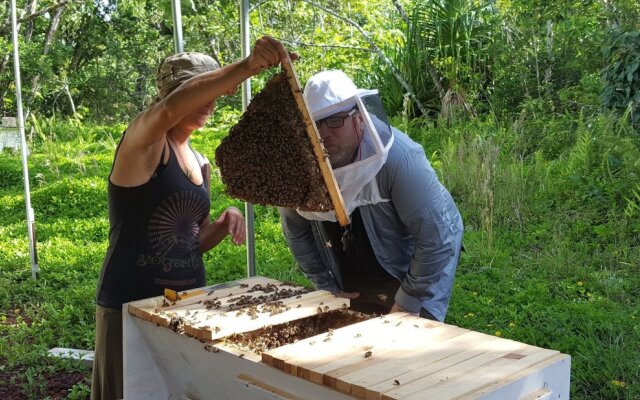 Kalani Oceanside Retreat