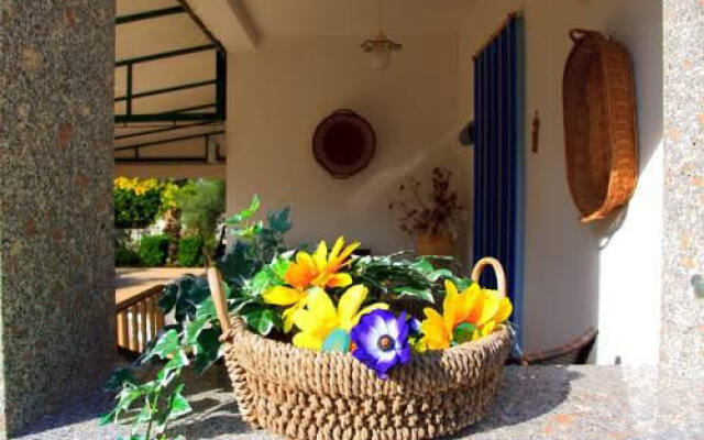 The House of Your Dreams