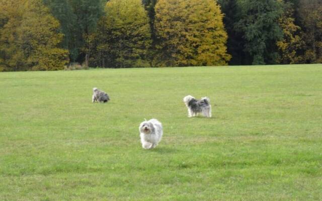 Holiday Apartment Owl's Nest