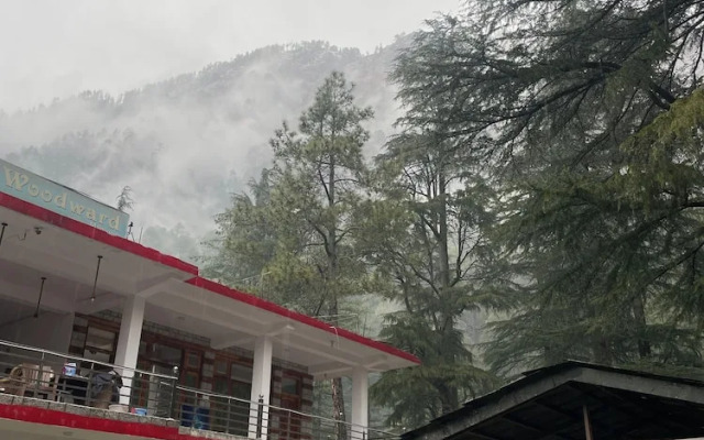 Woodward Magique kasol