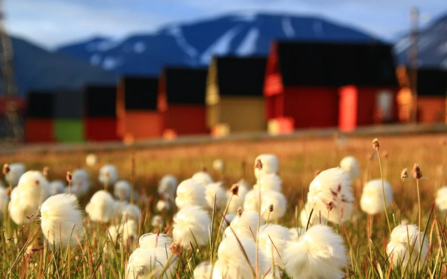 Svalbard Hotell - Lodge