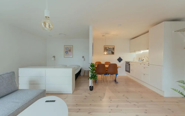 Cozy Downtown Studio Apartment