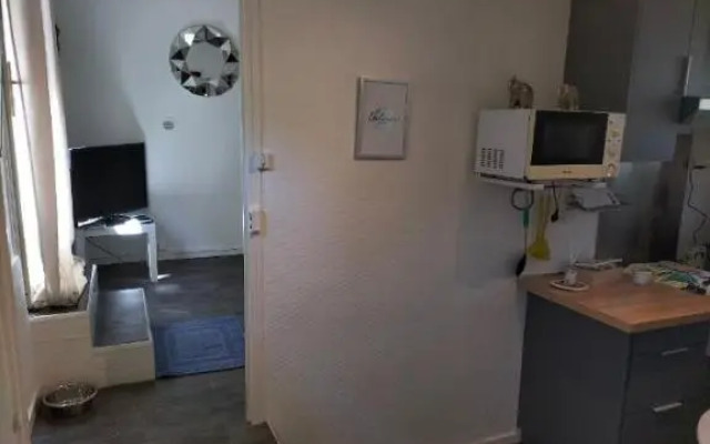 Studio promenade bord de Seine Rouen