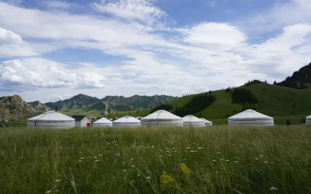 My Mongolia Eco Ger Camp