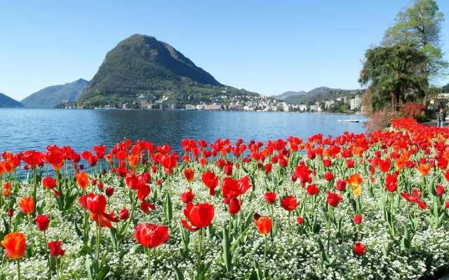 Casa Palma in Lugano