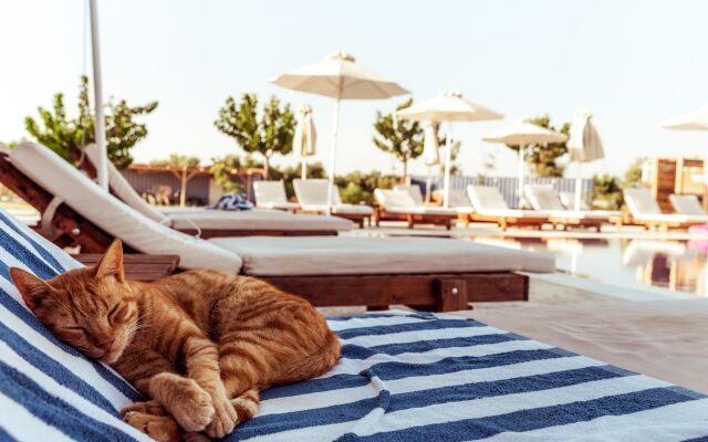 Sails on Kos Ecolux Tented Village