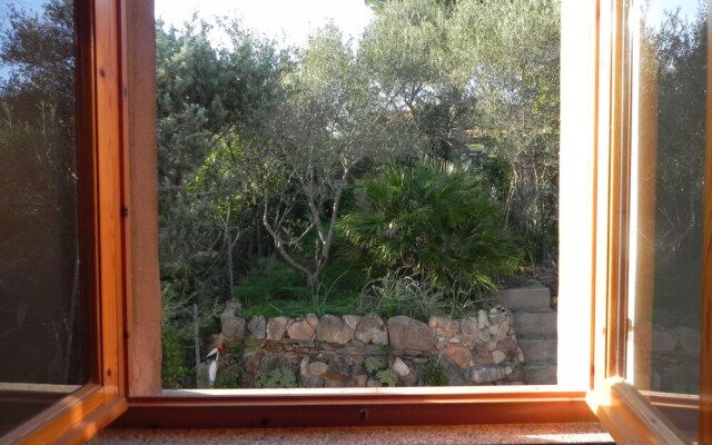 Fantastico San Teodoro AMB01