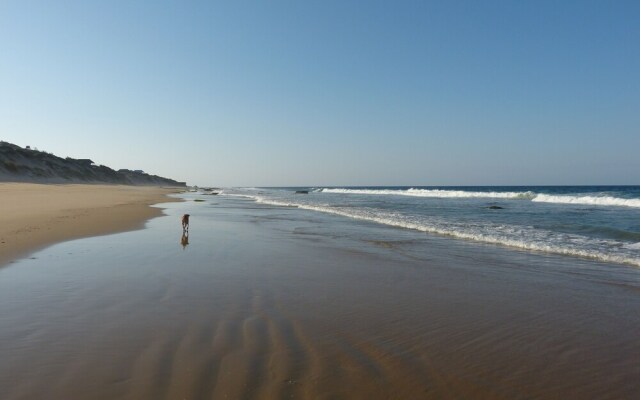 Blue Footprints Eco Lodge