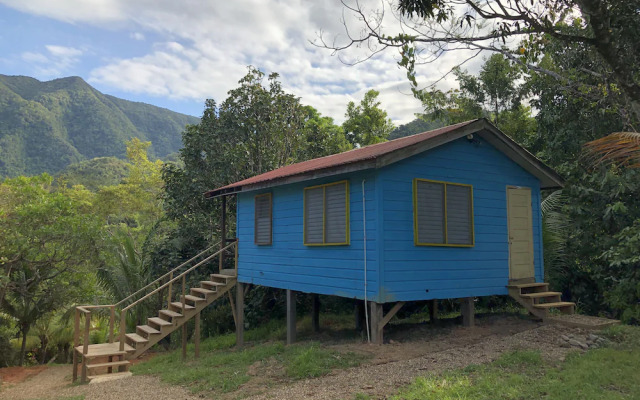 Toucan Ridge Ecology & Education Society T.R.E.E.S.
