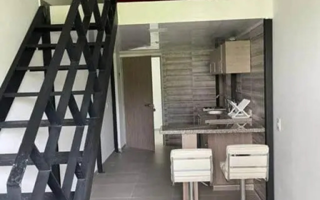 304A-APARTA ESTUDIO DUPLEX MINI EN Granada